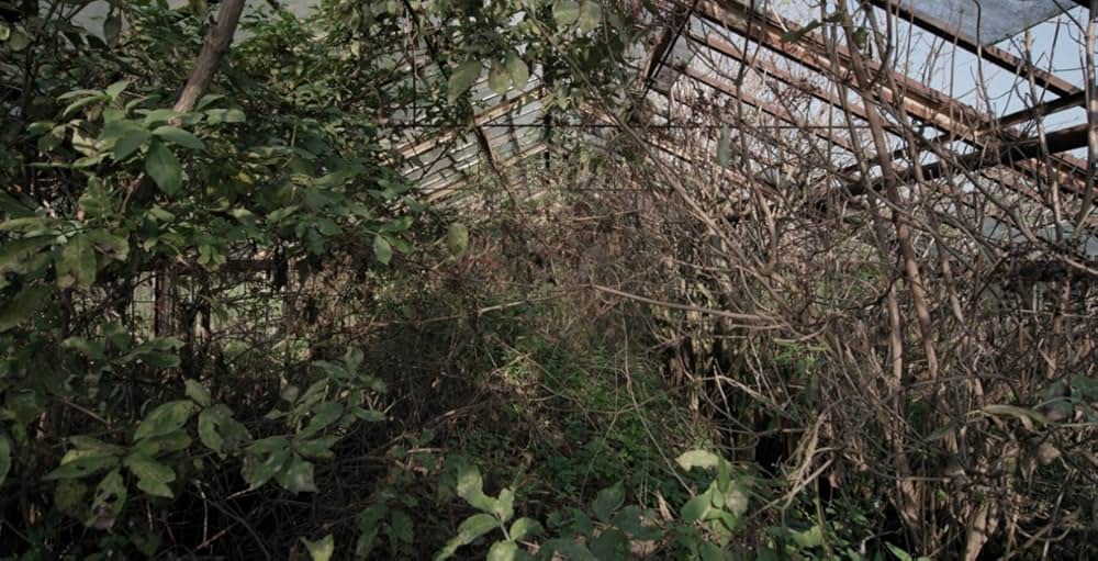 人類遺産の画像