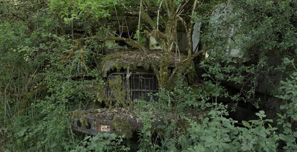 人類遺産の画像