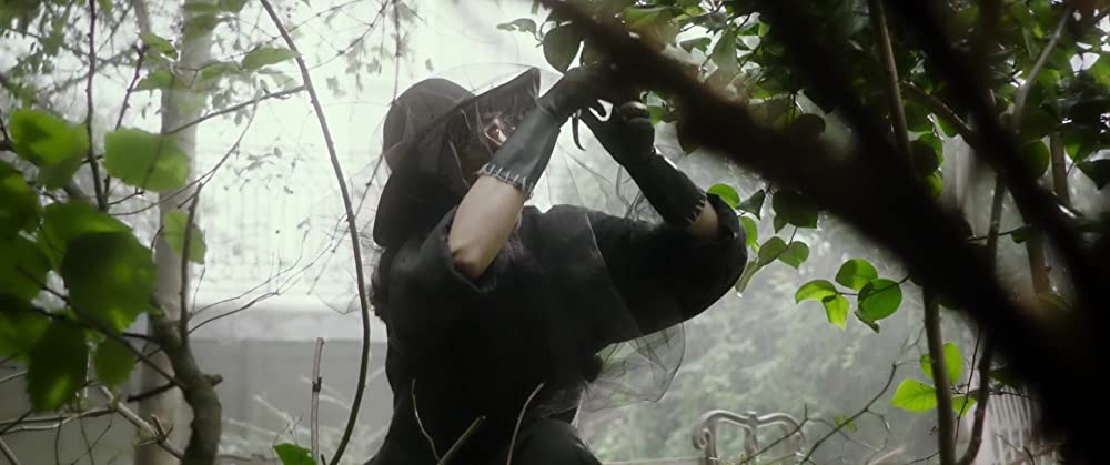 マイ ビューティフル ガーデンの画像