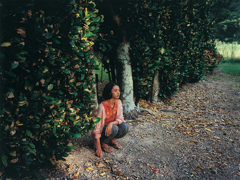 海辺の生と死の画像