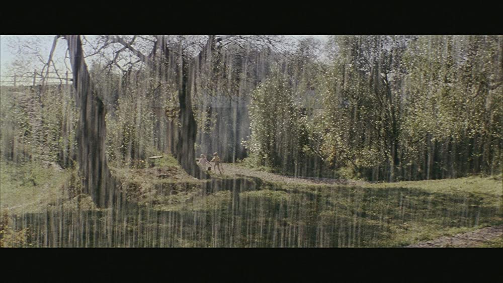 Ryuichi Sakamoto: CODAの画像