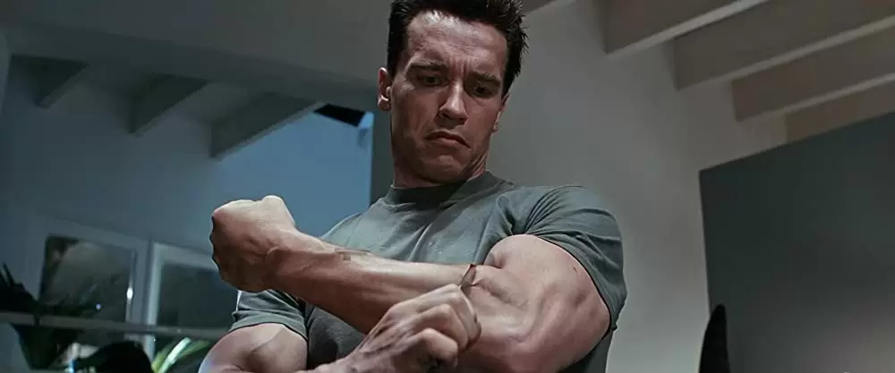 「ターミネーター2」アーノルド・シュワルツェネッガーの画像