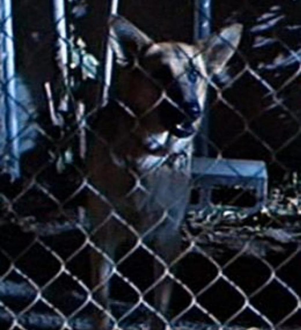 「ターミネーター2」の画像