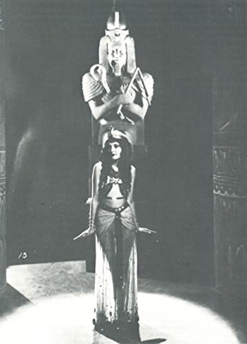 ミイラ再生の画像