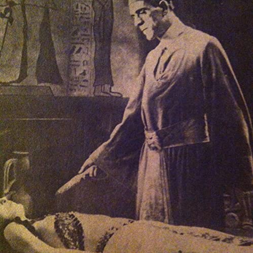 ミイラ再生の画像