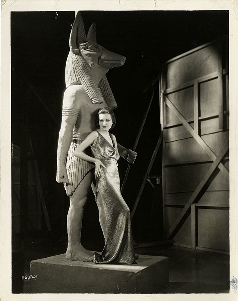 ミイラ再生の画像