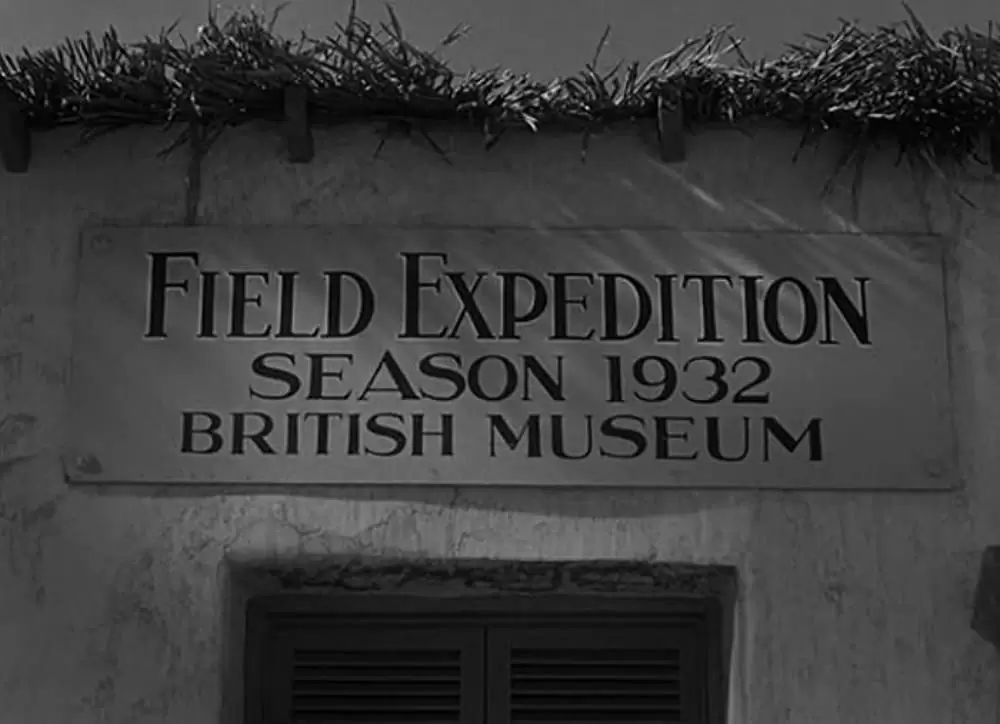 ミイラ再生の画像