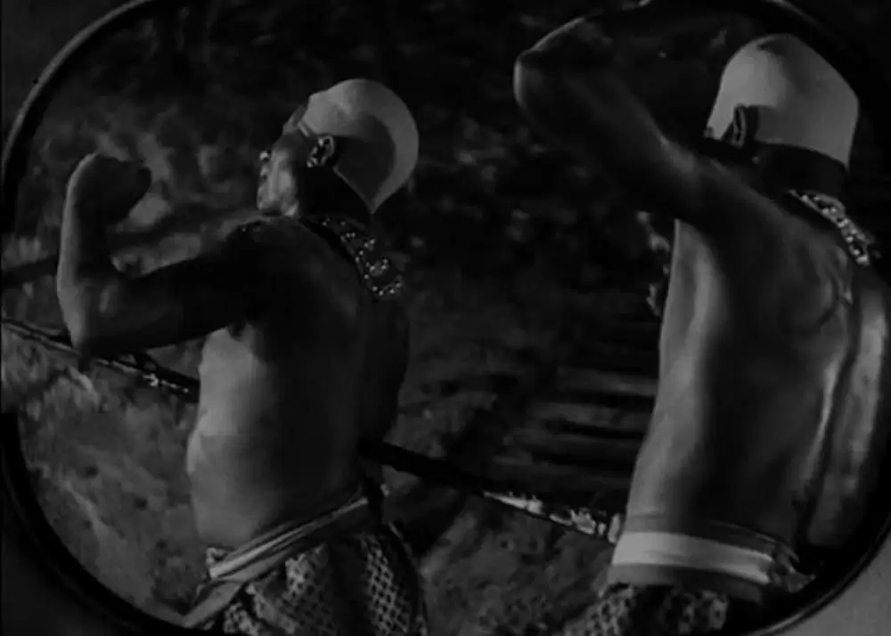 ミイラ再生の画像