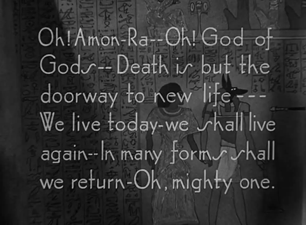 ミイラ再生の画像