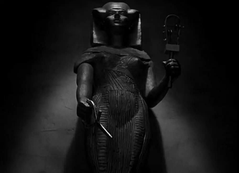 ミイラ再生の画像