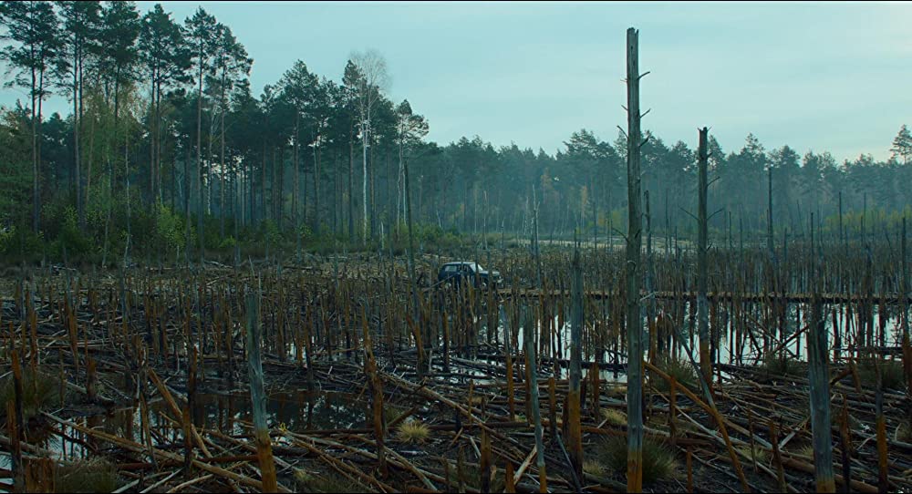 50年後のボクたちはの画像