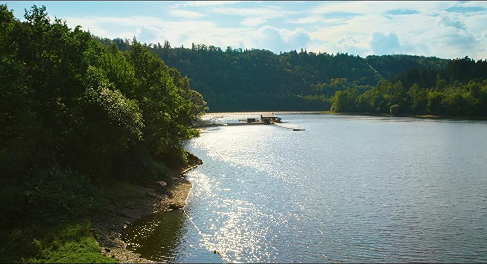 50年後のボクたちはの画像