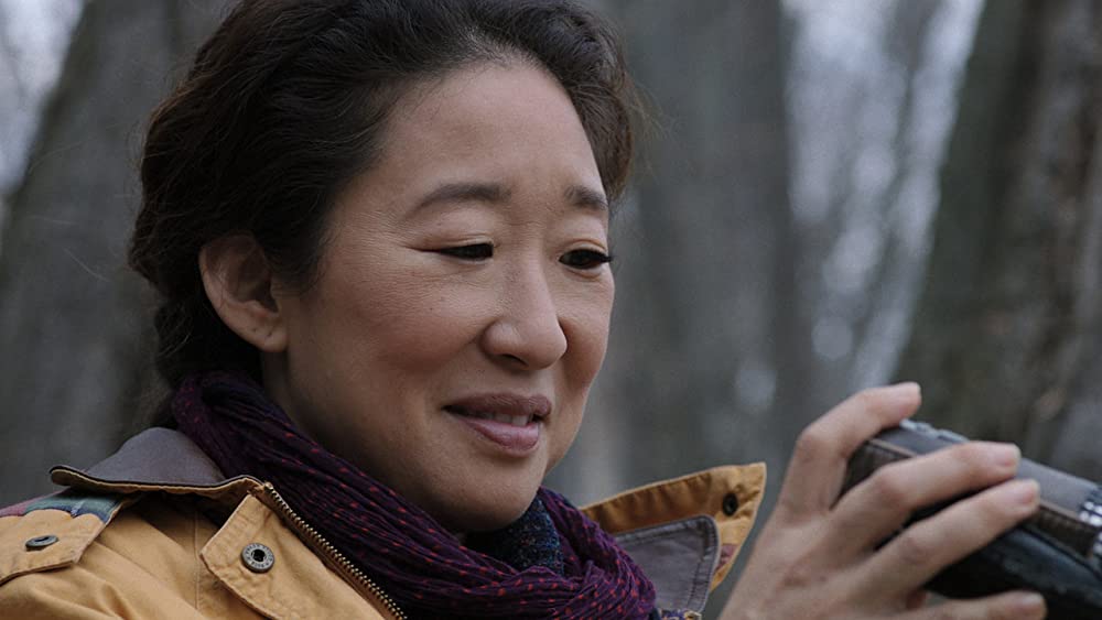 キャットファイトの画像