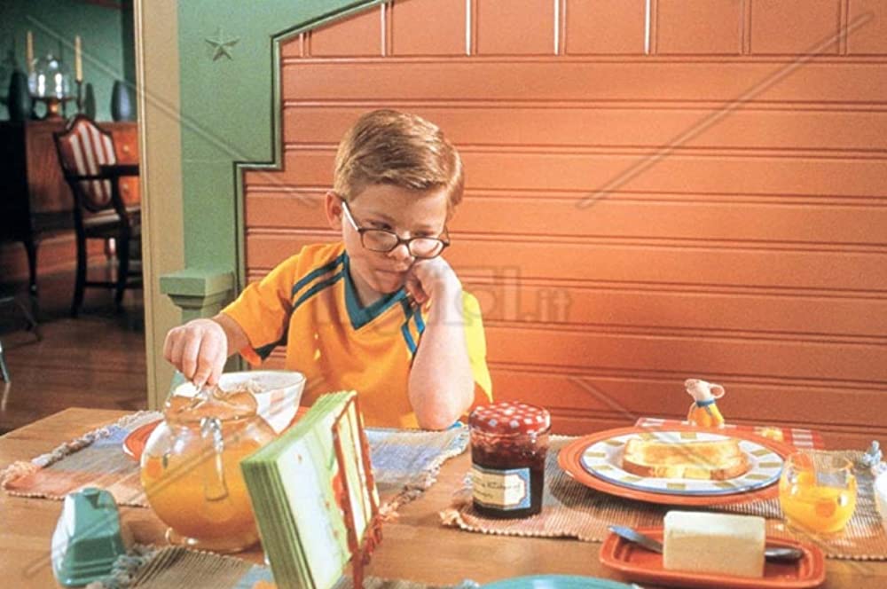 スチュアート・リトル2の画像