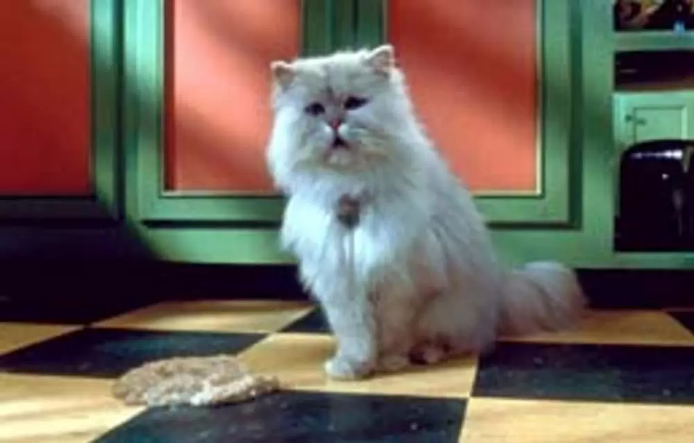 「スチュアート・リトル2」ネイサン・レインの画像