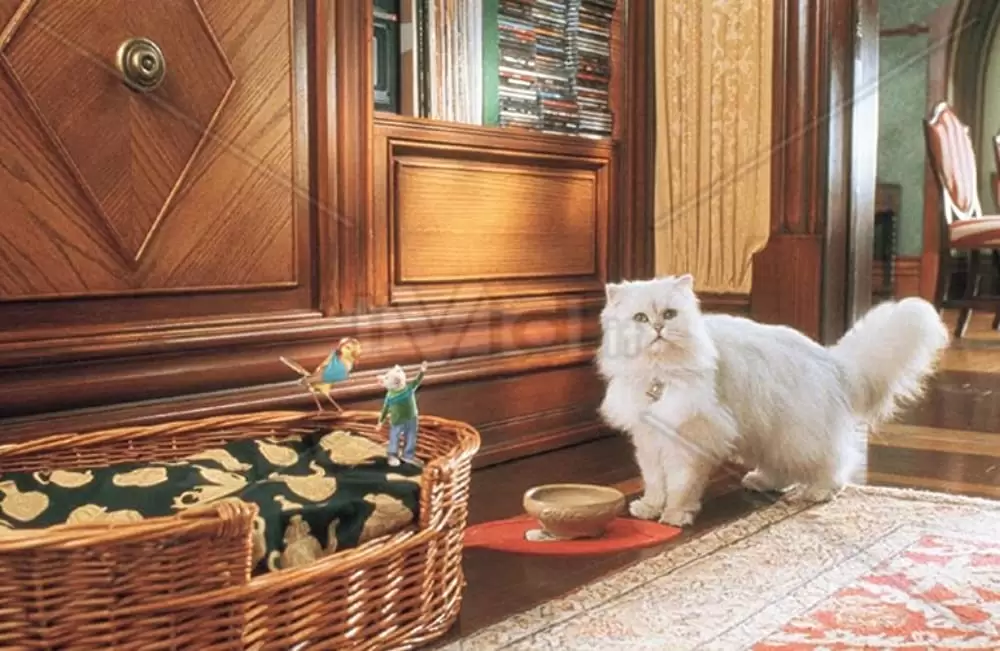 「スチュアート・リトル2」マイケル・J・フォックス & メラニー・グリフィス & ネイサン・レインの画像