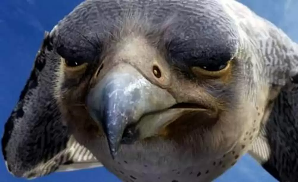 「スチュアート・リトル2」ジェームズ・ウッズの画像