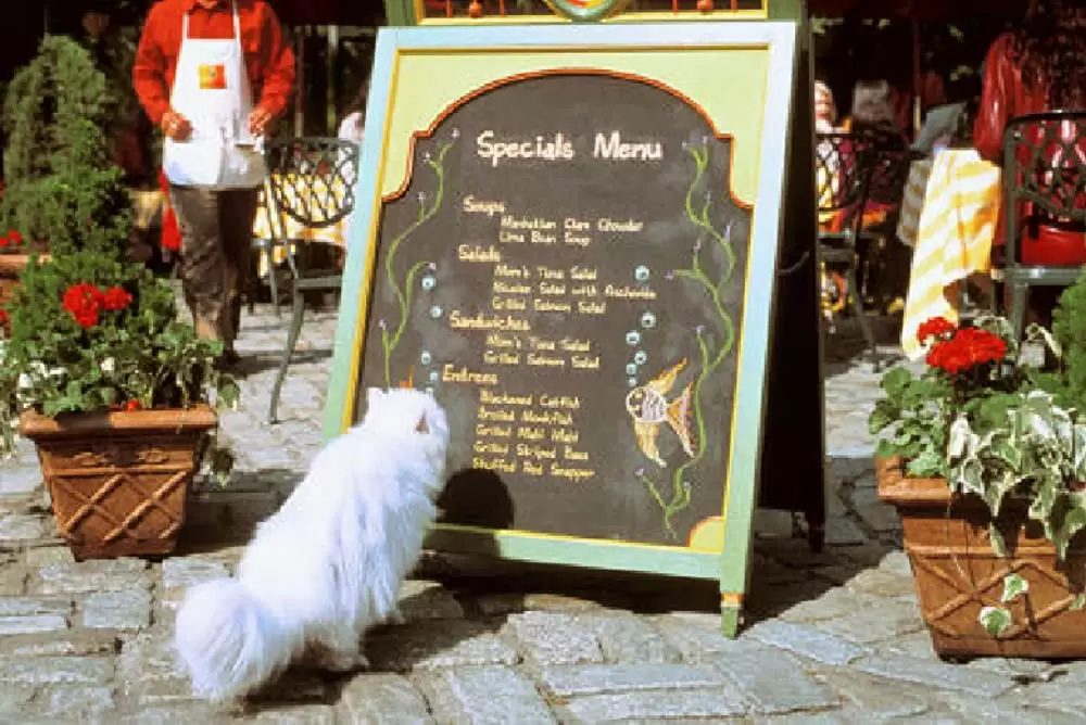 「スチュアート・リトル2」ネイサン・レインの画像