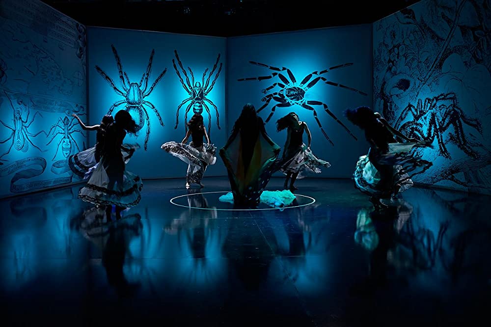 J ビヨンド・フラメンコの画像