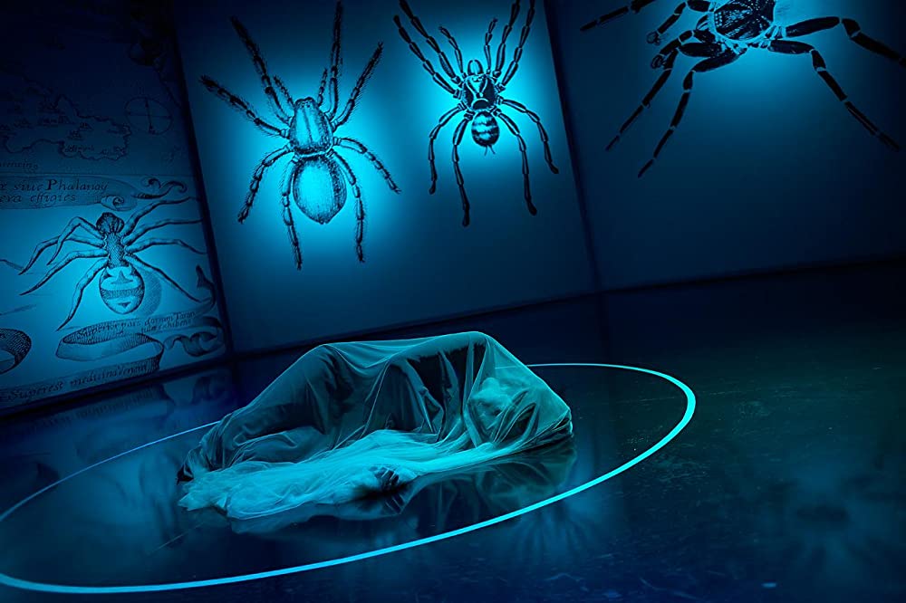 J ビヨンド・フラメンコの画像