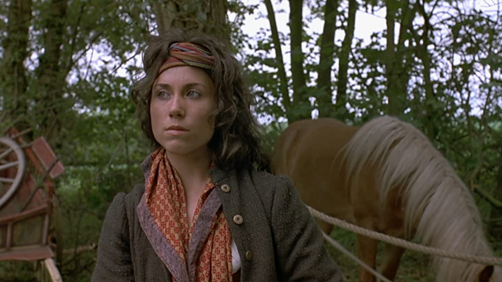 レッド・バイオリンの画像