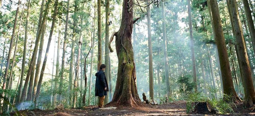 「Vision」の画像