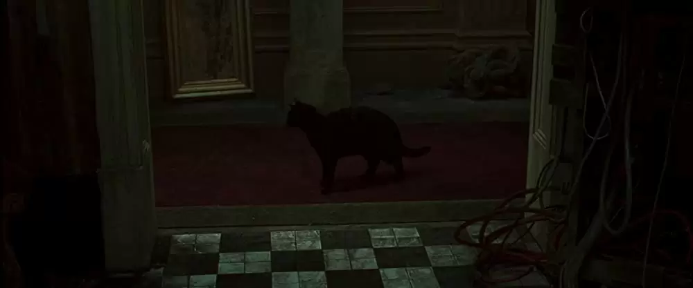 マトリックスの画像