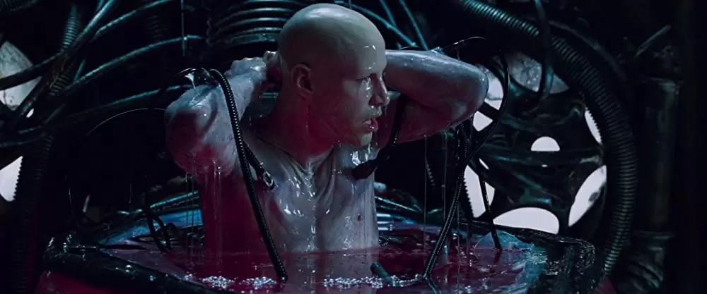 マトリックスの画像