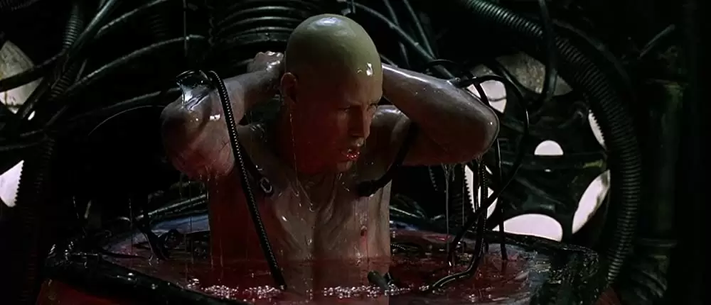 マトリックスの画像