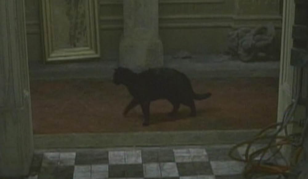 マトリックスの画像