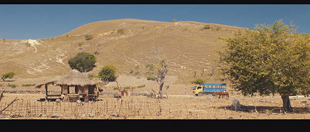 マルリナの明日の画像