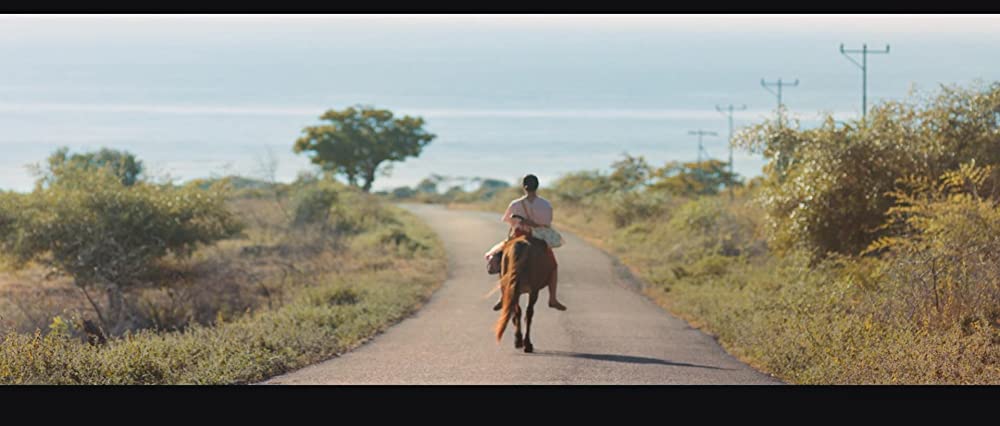 マルリナの明日の画像