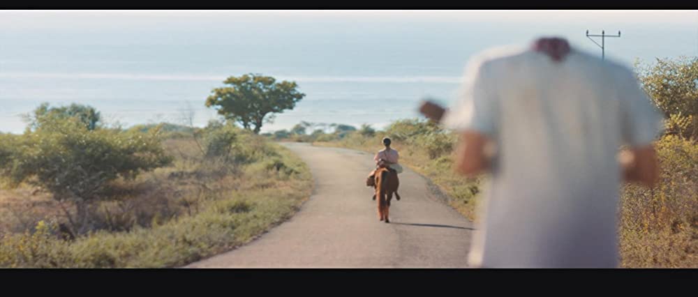 マルリナの明日の画像