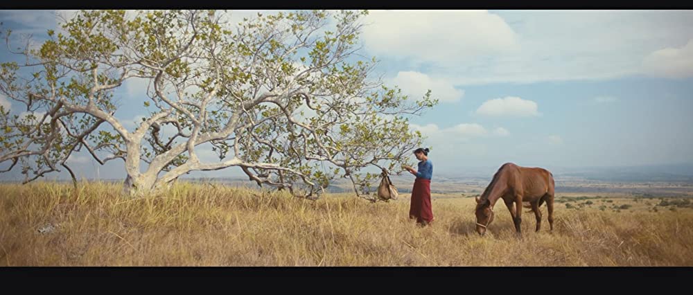 マルリナの明日の画像