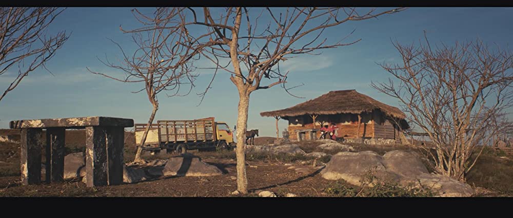 マルリナの明日の画像