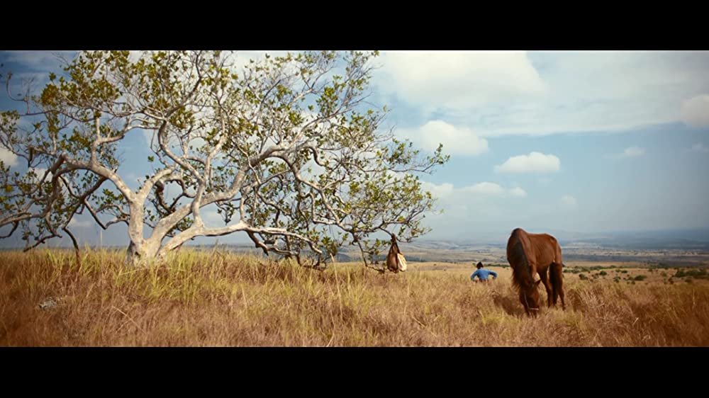 マルリナの明日の画像