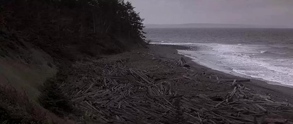 ヒマラヤ杉に降る雪の画像