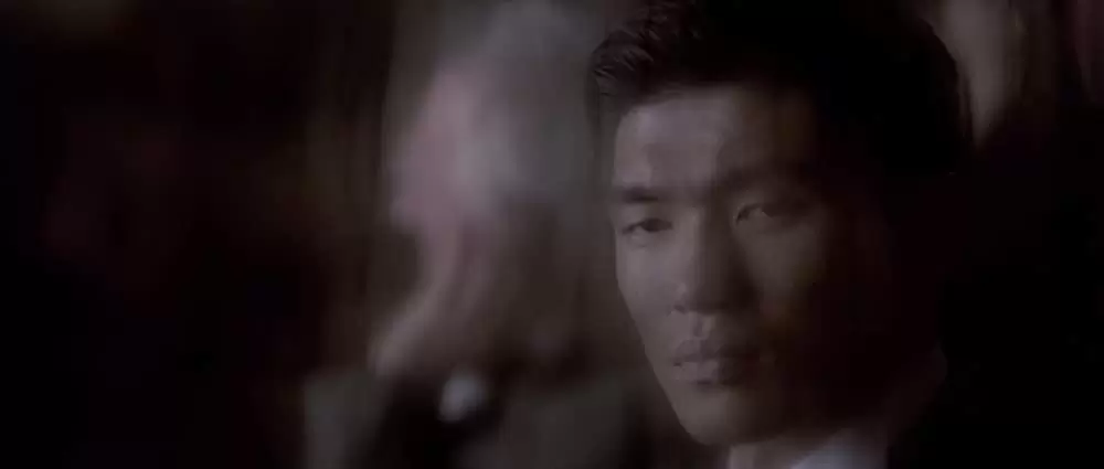 ヒマラヤ杉に降る雪の画像