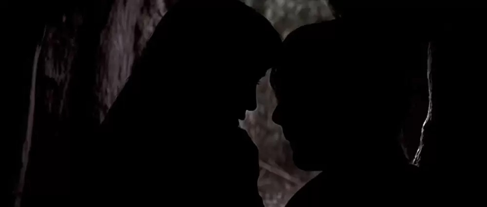 ヒマラヤ杉に降る雪の画像