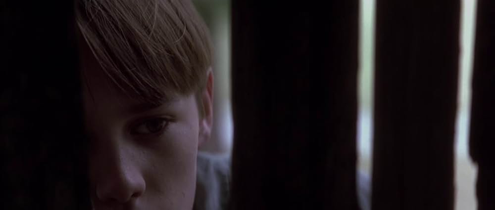 ヒマラヤ杉に降る雪の画像