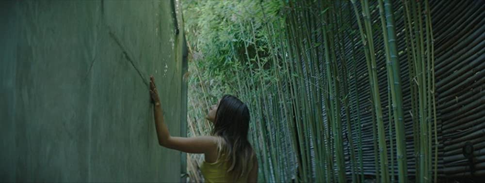 ショートウェーブの画像