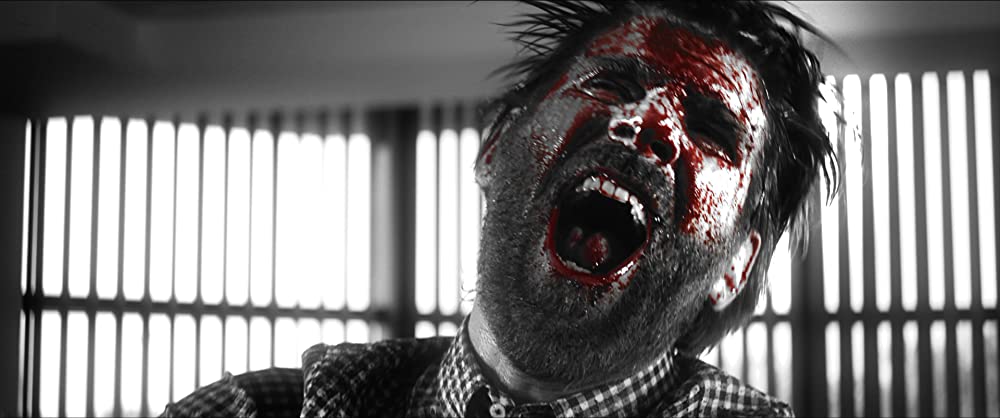 Z Inc. ゼット・インクの画像