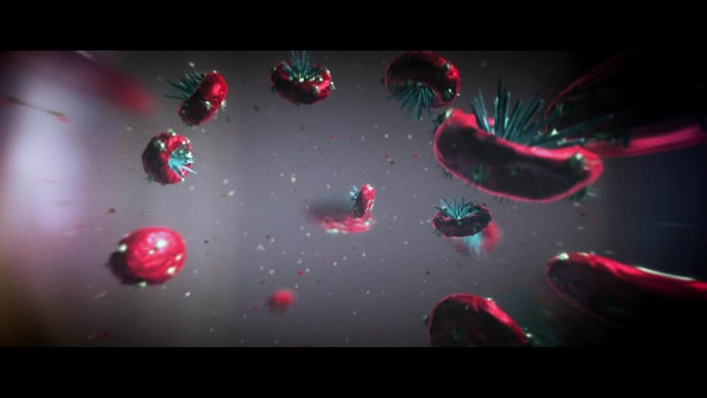 Z Inc. ゼット・インクの画像