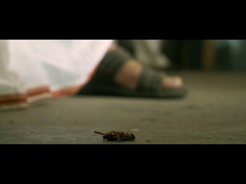 ガンジスに還るの画像