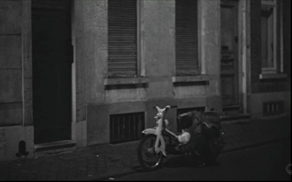 いのちの深呼吸の画像