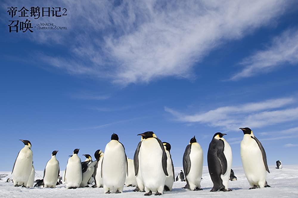 皇帝ペンギン ただいまの画像