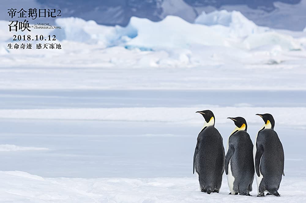 「皇帝ペンギン ただいま」の画像