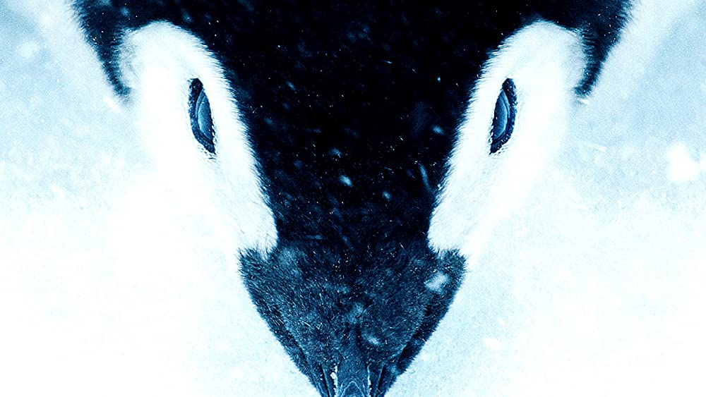 皇帝ペンギン ただいまの画像