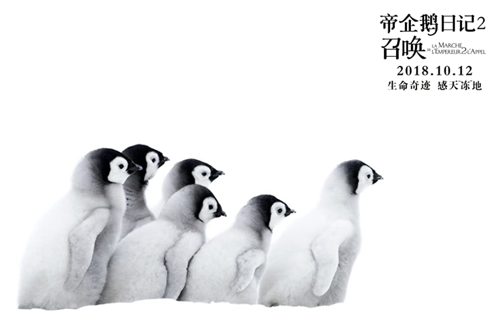 皇帝ペンギン ただいまの画像