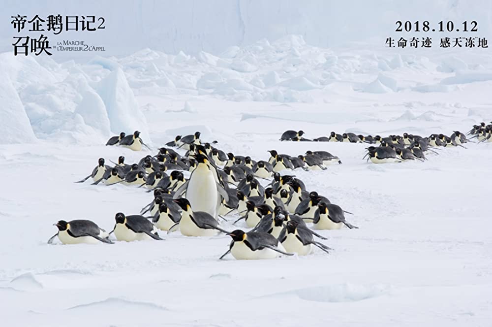 皇帝ペンギン ただいまの画像